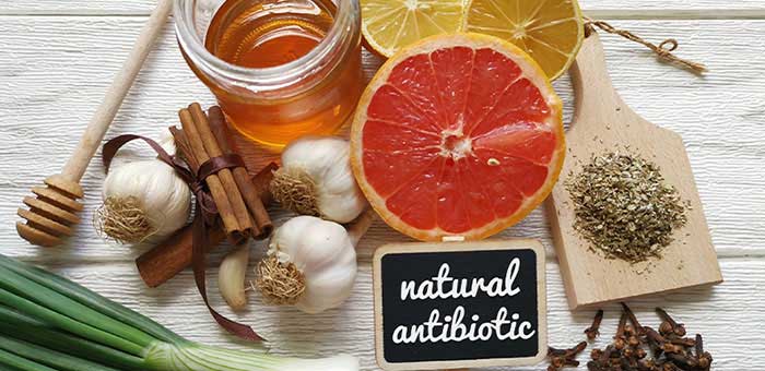 holistic antibiotics in Colville WA