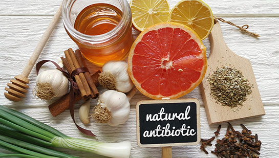 holistic antibiotics in Colville WA
